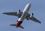 Airbus A319-100 Qantaslink